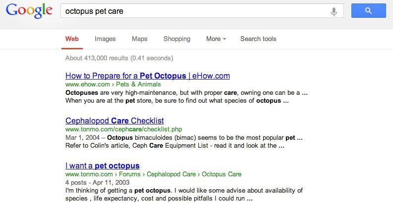 octopus google